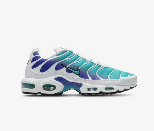 Nike Air Max TN White and Blue